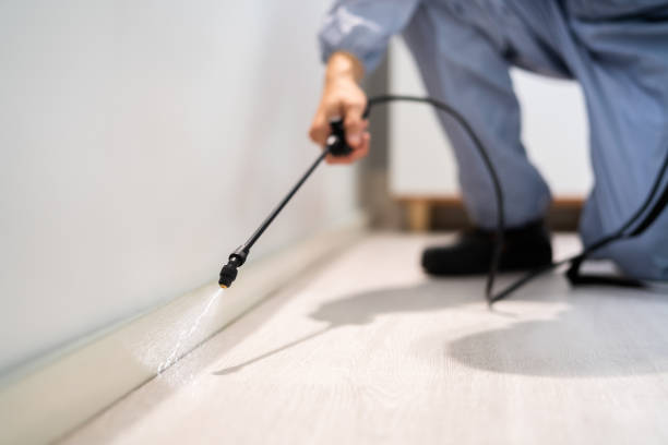 Licensed Cockroach Control service in Parker, FL - Nex Pest Control