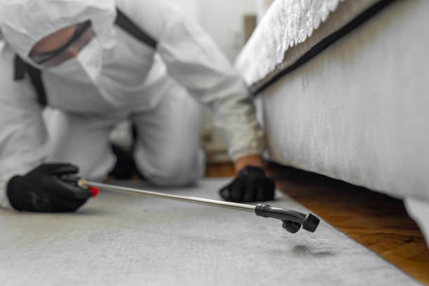 Professional Cockroach Control technician working in Parker, FL
