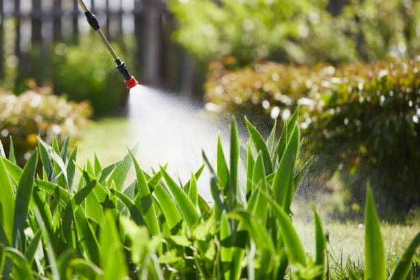 24/7 Emergency Cockroach Control experts in Parker, FL
