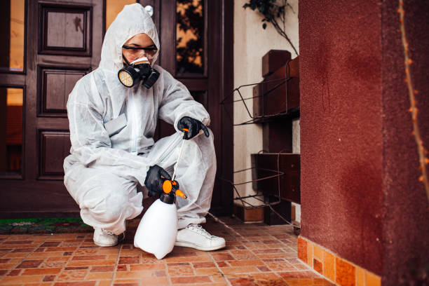 Reliable Cockroach Control contractor in Parker, FL by Nex Pest Control